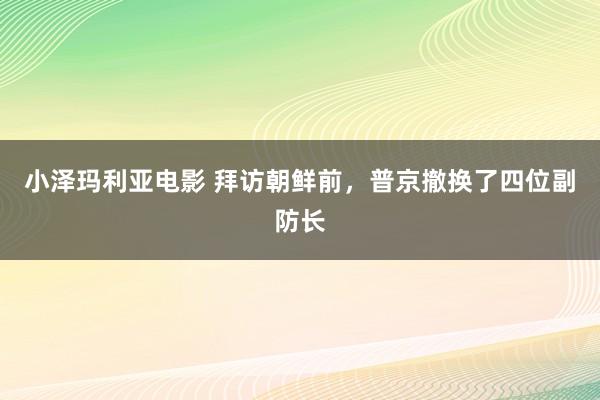 小泽玛利亚电影 拜访朝鲜前，普京撤换了四位副防长