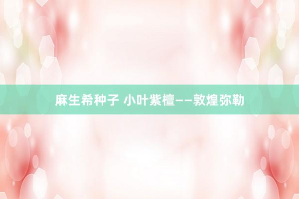 麻生希种子 小叶紫檀——敦煌弥勒