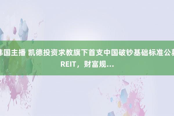韩国主播 凯德投资求教旗下首支中国破钞基础标准公募REIT，财富规...
