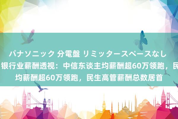 パナソニック 分電盤 リミッタースペースなし 露出・半埋込両用形 银行业薪酬透视：中信东谈主均薪酬超60万领跑，民生高管薪酬总数居首