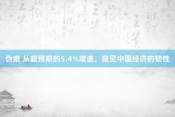 伪娘 从超预期的5.4%增速，窥见中国经济的韧性