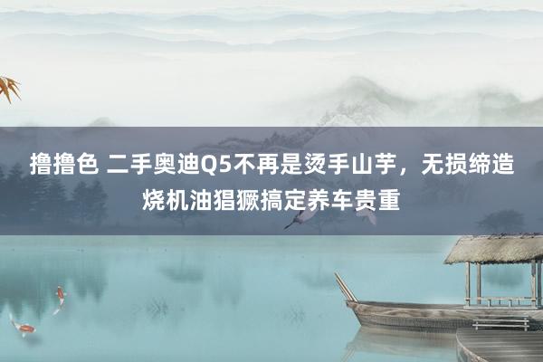 撸撸色 二手奥迪Q5不再是烫手山芋，无损缔造烧机油猖獗搞定养车贵重