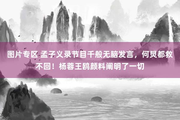 图片专区 孟子义录节目千般无脑发言，何炅都救不回！杨蓉王鸥颜料阐明了一切