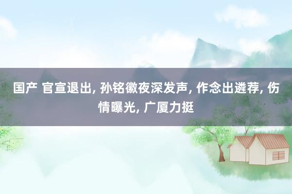 国产 官宣退出, 孙铭徽夜深发声, 作念出遴荐, 伤情曝光, 广厦力挺