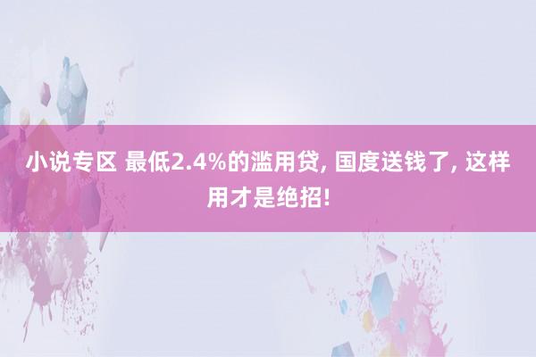 小说专区 最低2.4%的滥用贷, 国度送钱了, 这样用才是绝招!