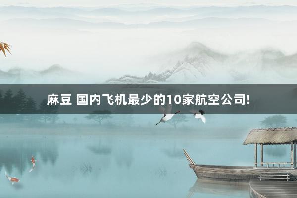 麻豆 国内飞机最少的10家航空公司!
