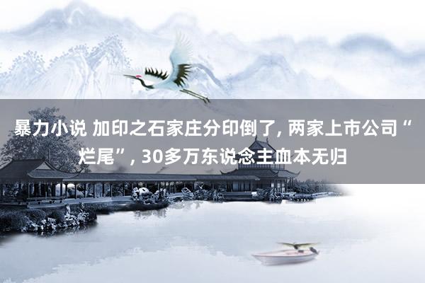 暴力小说 加印之石家庄分印倒了, 两家上市公司“烂尾”, 30多万东说念主血本无归