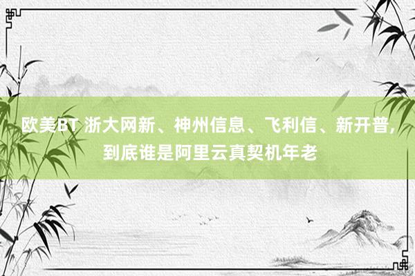 欧美BT 浙大网新、神州信息、飞利信、新开普, 到底谁是阿里云真契机年老