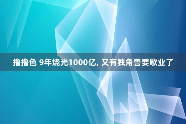 撸撸色 9年烧光1000亿, 又有独角兽要歇业了