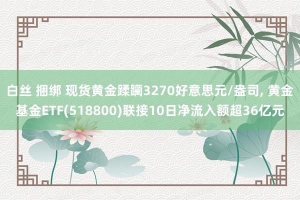 白丝 捆绑 现货黄金蹂躏3270好意思元/盎司, 黄金基金ETF(518800)联接10日净流入额超36亿元