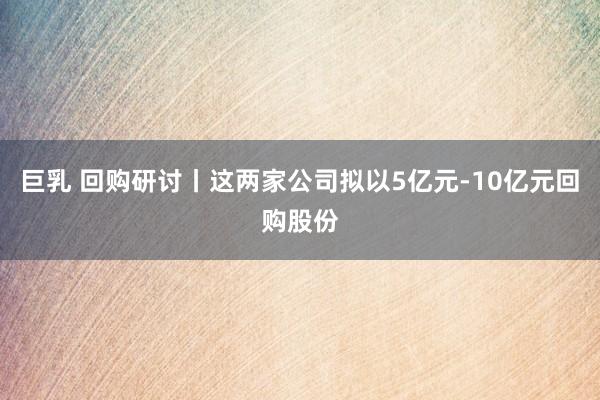 巨乳 回购研讨丨这两家公司拟以5亿元-10亿元回购股份