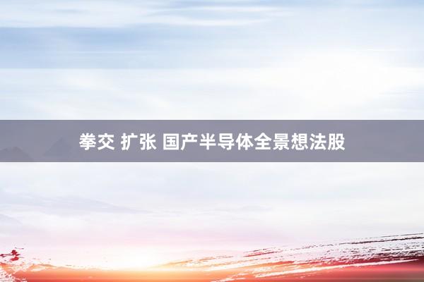 拳交 扩张 国产半导体全景想法股