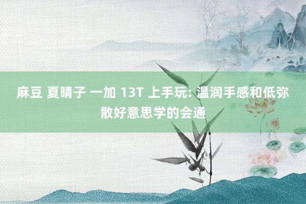 麻豆 夏晴子 一加 13T 上手玩: 温润手感和低弥散好意思学的会通