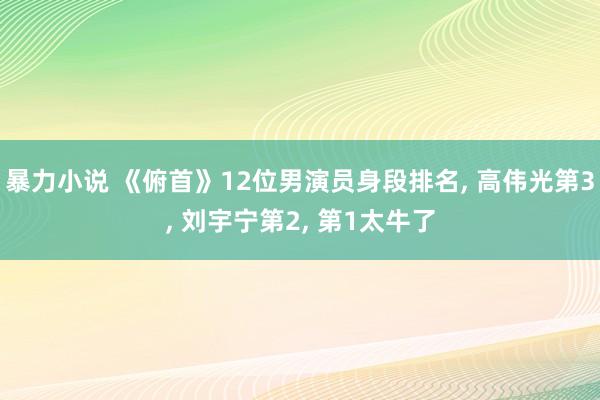 暴力小说 《俯首》12位男演员身段排名, 高伟光第3, 刘宇宁第2, 第1太牛了