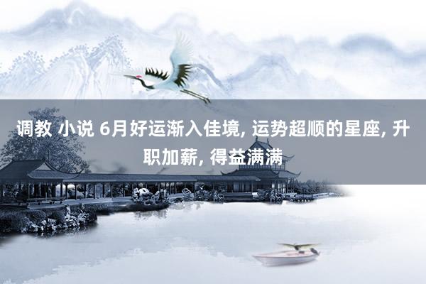 调教 小说 6月好运渐入佳境, 运势超顺的星座, 升职加薪, 得益满满
