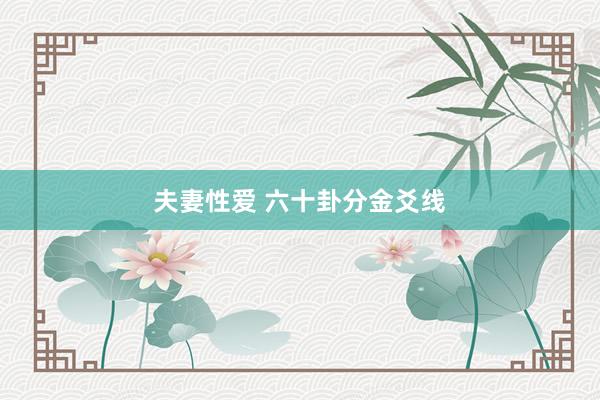夫妻性爱 六十卦分金爻线