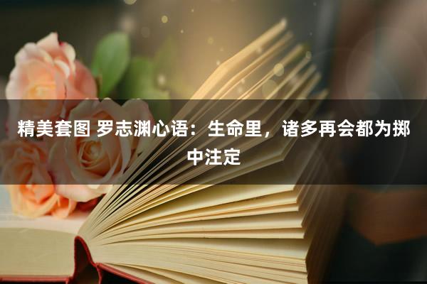 精美套图 罗志渊心语：生命里，诸多再会都为掷中注定