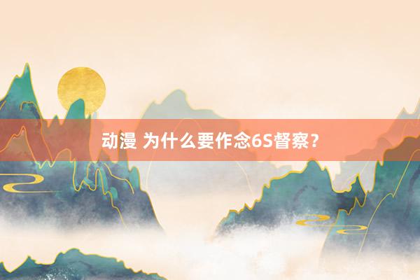 动漫 为什么要作念6S督察？