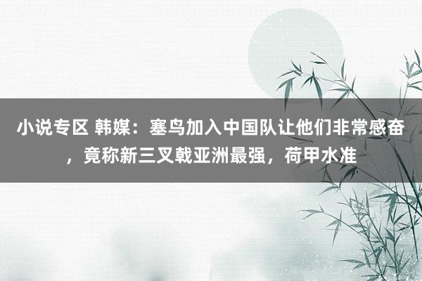 小说专区 韩媒：塞鸟加入中国队让他们非常感奋，竟称新三叉戟亚洲最强，荷甲水准