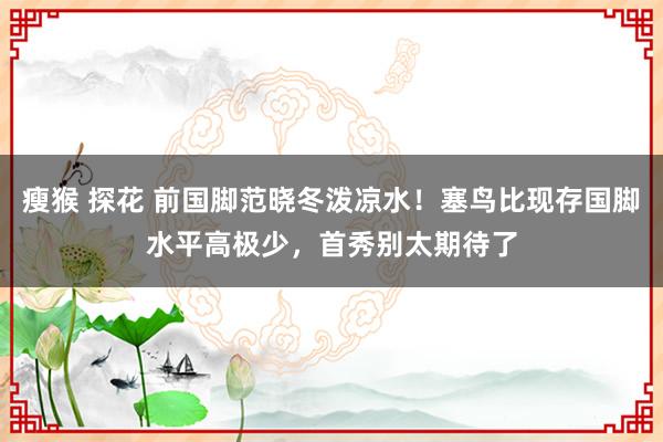瘦猴 探花 前国脚范晓冬泼凉水！塞鸟比现存国脚水平高极少，首秀别太期待了